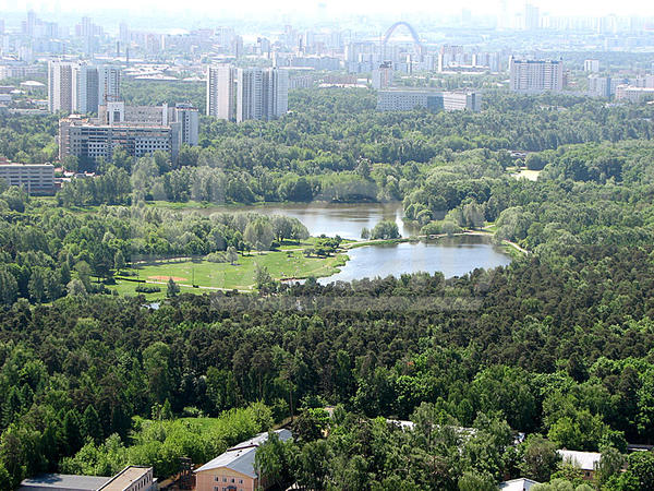 Вид из ЖК Северный Парк на Лесопарк Покровское-Стрешнево